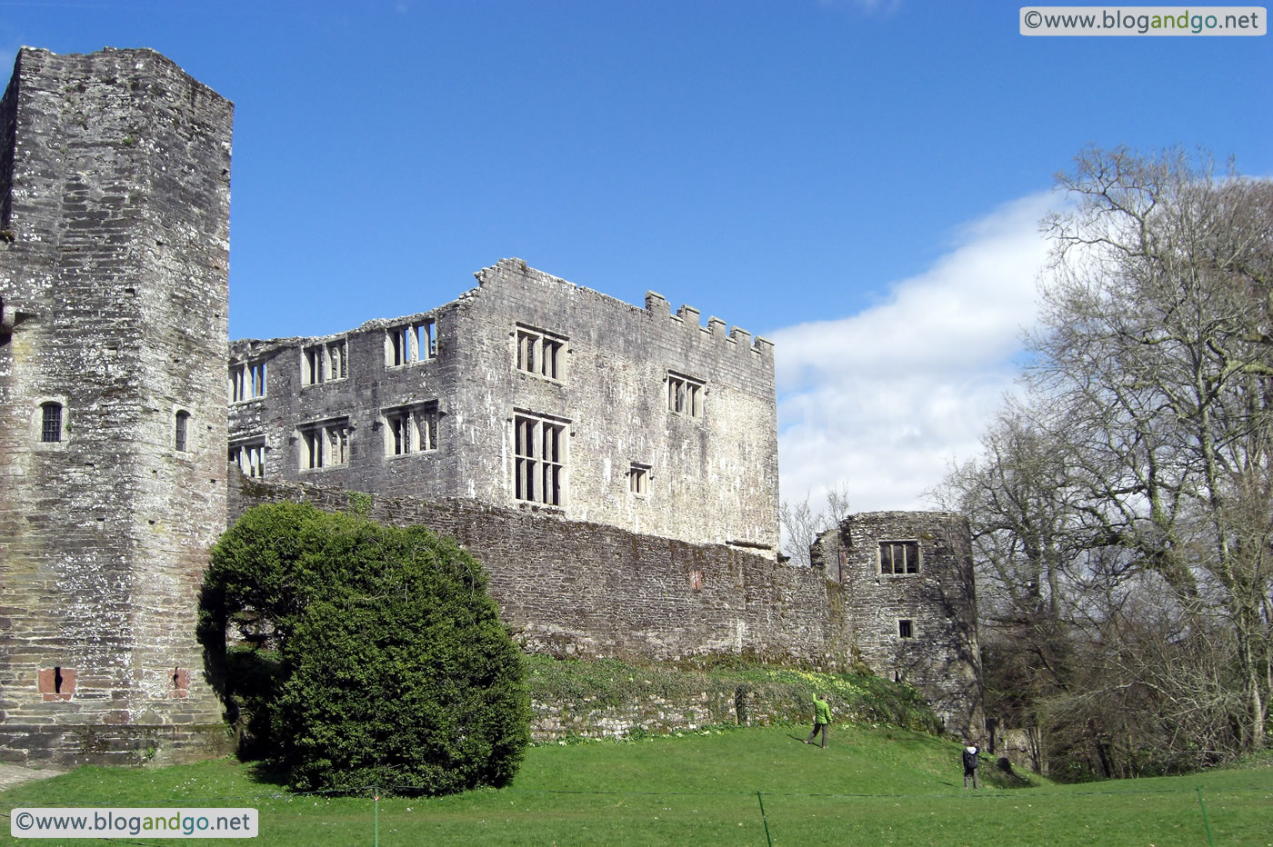 Berry Pomeroy Castle - Curtain wall from the gate